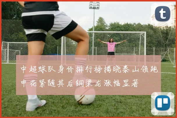 中超球队身价排行榜揭晓泰山领跑申花紧随其后铜梁龙涨幅显著