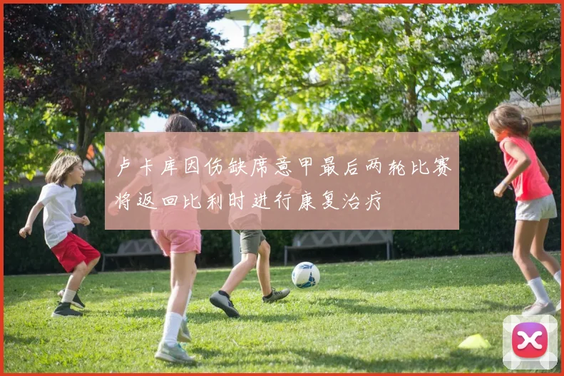 卢卡库因伤缺席意甲最后两轮比赛将返回比利时进行康复治疗