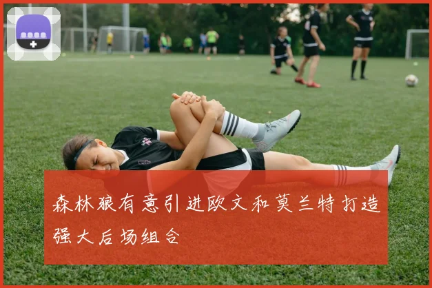 森林狼有意引进欧文和莫兰特打造强大后场组合