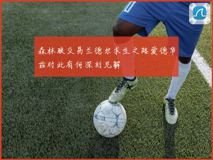 森林狼交易兰德尔求生之路爱德华兹对此有何深刻见解